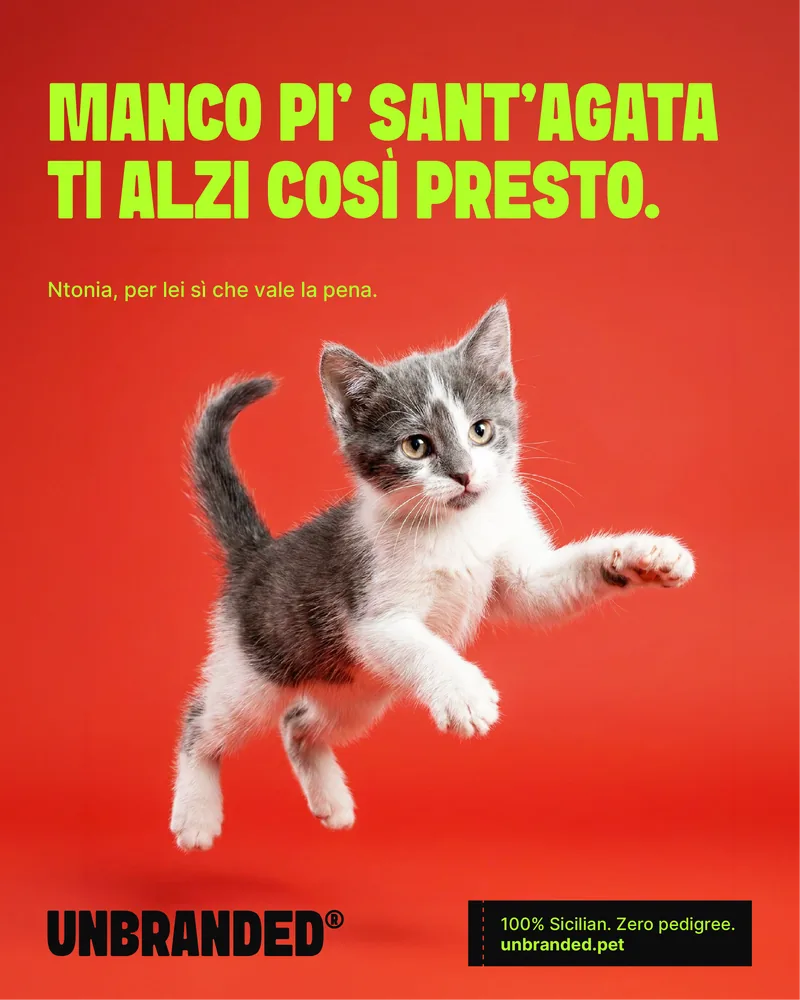 Ntonia — manco pi' Sant'Agata ti alzi così presto